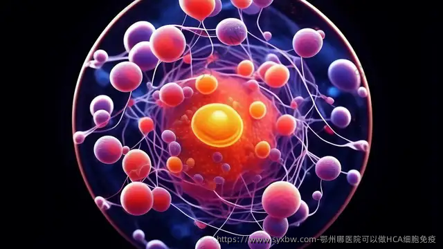 鄂州哪医院可以做HCA细胞免疫