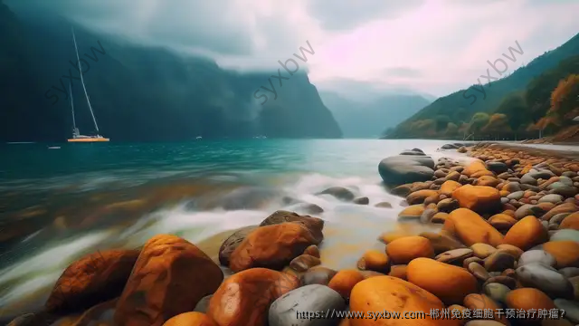 郴州免疫细胞干预治疗肿瘤？