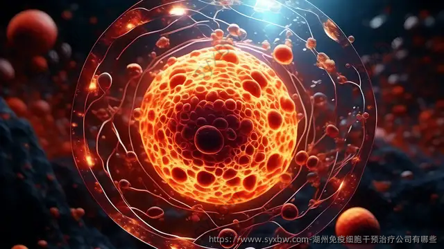 湖州免疫细胞干预治疗公司有哪些