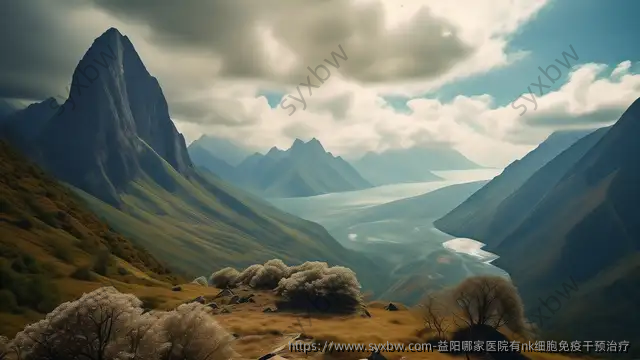 益阳哪家医院有nk细胞免疫干预治疗